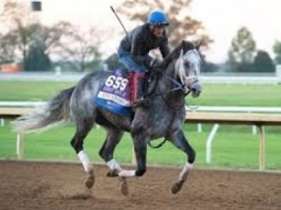 Preview: Breeders' Cup Dirt Mile 2020 ( Horses, Racecard, 20 ... Image 2